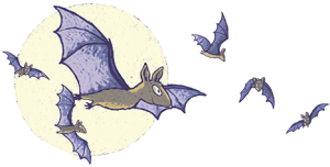 moon-bats-trans